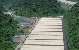 Dabaco lên tiếng về tai nạn lao động tại Thanh Hóa