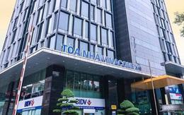 Vinaconex phân phối hơn 51,7 triệu cổ phiếu VCG để trả cổ tức năm 2025
