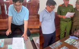 Khởi tố giám đốc Dương Nhật Long và chủ hộ kinh doanh Nguyễn Thị Túy Phượng