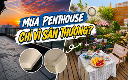Từng nghĩ sân thượng là "đáng tiền" nhất của penthouse, đến khi chuyển vào ở tôi mới nhận ra sự thật