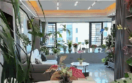 Dụi mắt 1 tỷ lần trước "căn hộ trên không" của pháp sư Trung Hoa: Trồng hơn 200 chậu cây đẹp quên cả mặt đất