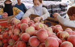 Bé trai làm hỏng 3 quả đào trong siêu thị, cách xử lý của người mẹ được khen "đáng tiền hơn mọi lớp học kỹ năng"