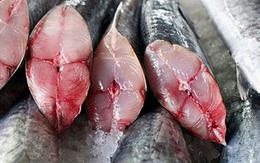 4 loại cá chứa nhiều thủy ngân cao nhất