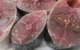 6 loại cá giàu omega-3 bậc nhất