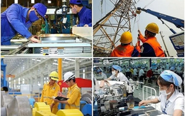 Đánh giá doanh nghiệp Nhà nước dựa trên 5 tiêu chí