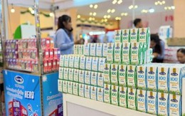 Vinamilk lãi kỷ lục gần 3.200 tỷ đồng, công ty con tại Campuchia tăng trưởng ba chữ số