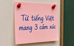 Từ tiếng Việt nào khiến Google Dịch phải "đầu hàng" vì gói trọn 3 cảm xúc trong 1 chữ?