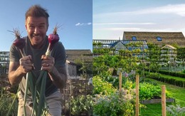 Căn nhà để nuôi gà của David Beckham