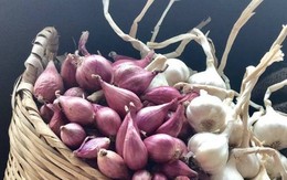Hành, tỏi nên mua loại màu trắng hay tím?