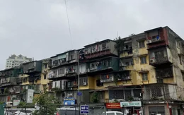 Hà Nội khởi công 144 dự án NOXH, 8 dự án cải tạo chung cư cũ trong năm 2026