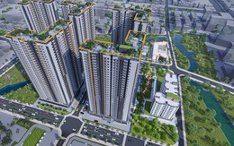 Biến động 'ghế' Chủ tịch HĐQT Năm Bảy Bảy