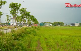 Đấu giá đất nông thôn ở Hà Tĩnh: Vì sao giá khởi điểm lên tới hơn 5,3 tỷ đồng?