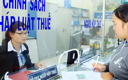 Thông đồng, bao che người nộp thuế nhằm ngăn cản cơ quan thuế xác minh thông tin bị phạt tới 100 triệu đồng