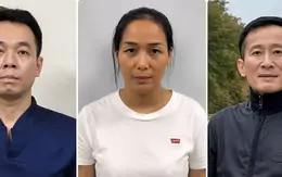 Lý do nguyên Chủ tịch HĐQT và Giám đốc Công ty Cổ phần Đầu tư y tế Việt Mỹ bị bắt