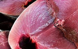 5 loại cá giàu protein bậc nhất