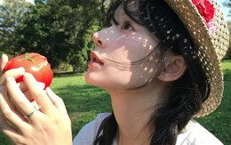 Việt Nam có 4 thực phẩm màu đỏ đang vừa rẻ lại vào mùa: Là vua "đốt cháy" mỡ bụng