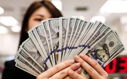 Giá USD ngân hàng vượt 26.500 đồng