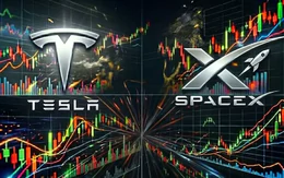 Cổ phiếu Tesla, SpaceX lao dốc cực gắt