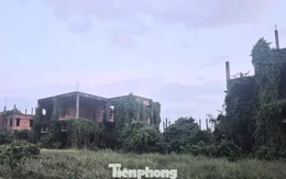 Dự án nghìn tỷ 'đắp chiếu', siêu đô thị thành... vườn sắn