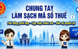 Làm sạch mã số thuế: 3 việc người nộp thuế cần làm