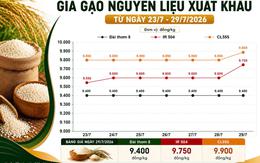 Thị trường hàng hóa 29/7: Gạo xuất khẩu bứt tốc, heo hơi nối dài đà giảm
