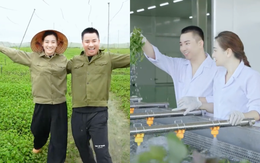 Vợ chồng Hữu Công quảng bá bột rau detox rầm rộ cỡ nào trước khi bị tiêu hủy gần 76.000 sản phẩm, xử phạt?