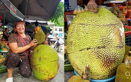 Quả mít khổng lồ nặng 53kg ở Lạng Sơn được bán với giá bất ngờ, ngỡ ngàng khi bổ ra