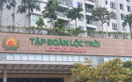 Chậm công bố một số BCTC, Lộc Trời bị xử phạt hành chính