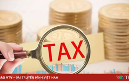 Bị tạm hoãn xuất cảnh nếu bỏ địa chỉ kinh doanh và nợ thuế quá hạn 120 ngày