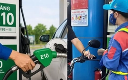 Sau một tháng bán đại trà xăng E10: Không khí cải thiện, tiêu thụ vượt 1 tỷ lít