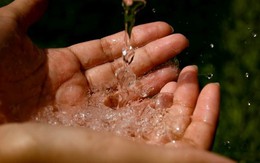 Một công ty niêm yết chốt ngày trả cổ tức tiền mặt 30%, cổ phiếu thuộc diện cảnh báo