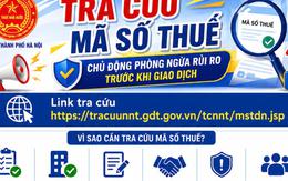 Hướng dẫn tra cứu mã số thuế