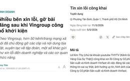 Toà án Canada: Vingroup đủ cơ sở để tiếp tục kiện Phương Ngô