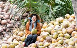 Bán dừa, nha đam, trái cây khắp thế giới, DN Việt thu hơn 8.200 tỷ đồng, lợi nhuận tăng 72% sau 6T2026