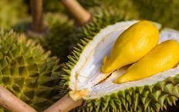 Sau Trung Quốc, Việt Nam chính thức khai phá 'mỏ vàng' sầu riêng 1,4 tỷ dân: Thái Lan, Malaysia cũng đang chạy đua