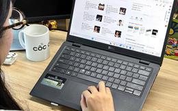 Xu hướng tìm kiếm tiết lộ gì về bức tranh giải trí hè 2026?