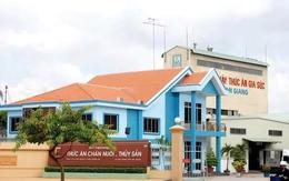 Một công ty nông nghiệp “tất tay” hơn 220 tỷ đồng vào cổ phiếu VIC