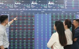 Góc nhìn chuyên gia: Không phải kết quả kinh doanh quý 2, đây mới là yếu tố quyết định xu hướng VN-Index