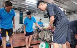 Chủ khách sạn ở Cô Tô mổ lợn rừng đãi gần 50 du khách mắc kẹt vì bão