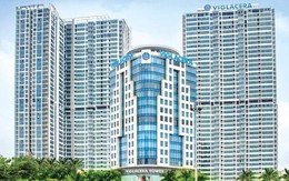 Viglacera: Một mảng 'đặc biệt' vừa có lãi trở lại sau 3 năm thua lỗ, đón ngay tin vui từ quyết định áp thuế  chống bán phá giá của Bộ Công Thương