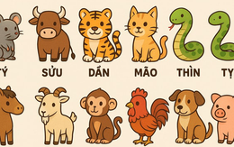 1 tuần nữa 2 con giáp có quý nhân tương trợ, tài lộc ào ạt như nước, 1 con giáp lại cần thận trọng