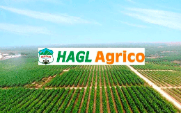 HAGL Agrico sáp nhập ba công ty con tại Lào