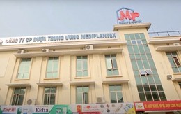 Tổng giám đốc một công ty dược đơn phương chấm dứt Hợp đồng lao động