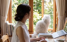 Người có tiền có thuê nhà không?