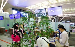 Cảnh tượng khác lạ ở sân bay Nội Bài tại quầy làm thủ tục của hàng hãng không Nhật Bản