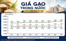 Thị trường hàng hóa ngày 9/7: Hồ tiêu phục hồi, cao su giữ đà tăng