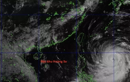 Siêu bão Bavi có thể đổ bộ đất liền tương đương Yagi