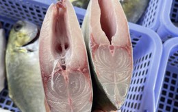 3 loại cá nhiều thịt ít xương, đang vào "mùa vàng" ở chợ