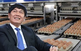 Nửa đầu năm, tỷ phú Trần Đình Long bán ra hơn 200.000 con heo và 170 triệu quả trứng gà