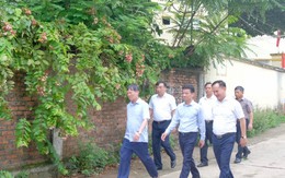 Hà Nội phấn đấu hoàn thành bàn giao đất nông, lâm trường về địa phương trong tháng 8-2026